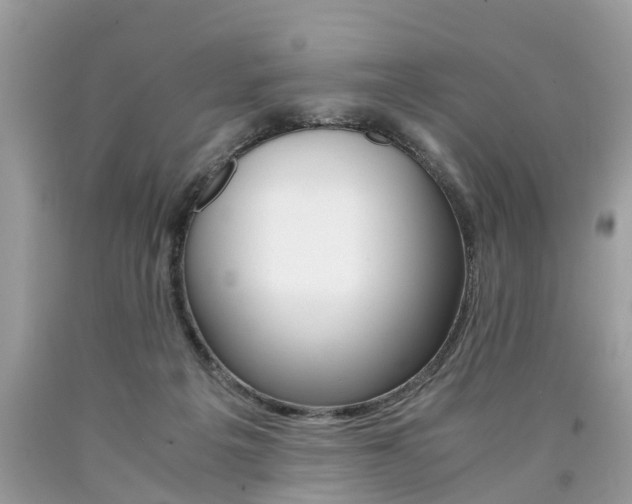 X0000090700217200707200936