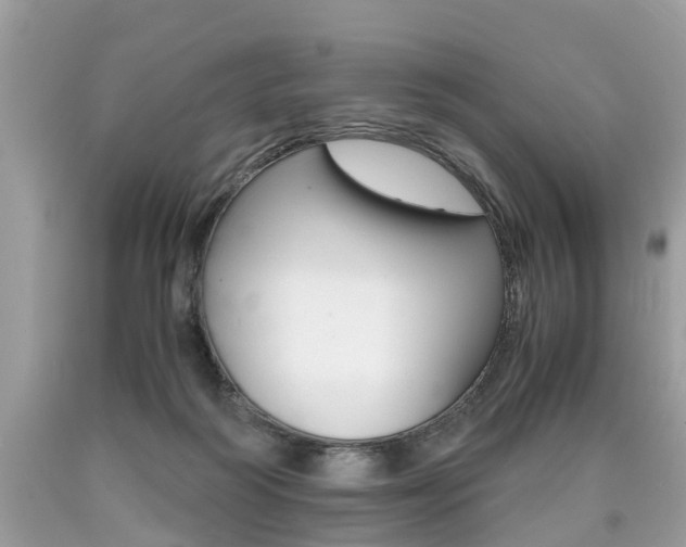 X0000090700218200707200936