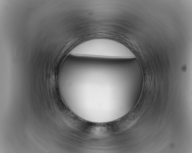 X0000090700220200707200936