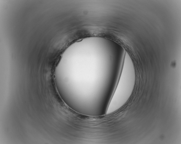 X0000090700221200707200936