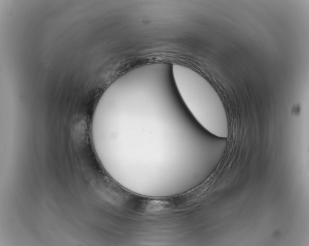 X0000090700222200707200936