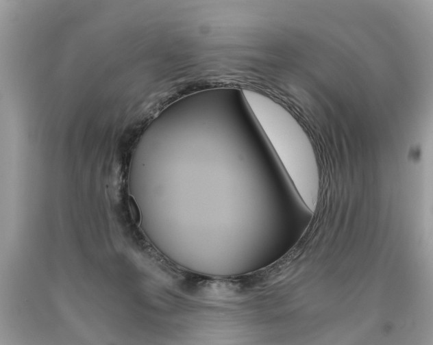 X0000090700223200707200936