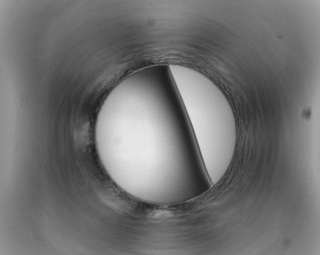 X0000090700224200707200936