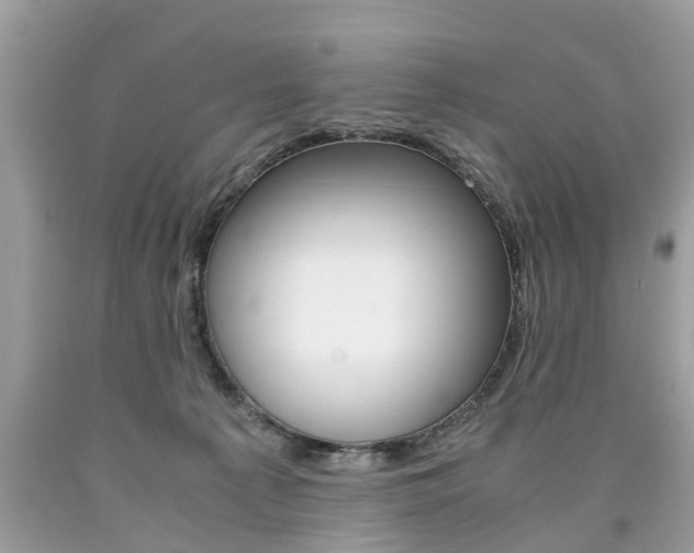X0000090700225200707200936