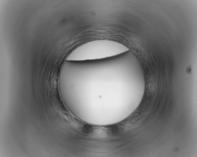 X0000090700226200707200936