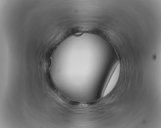 X0000090700227200707200936