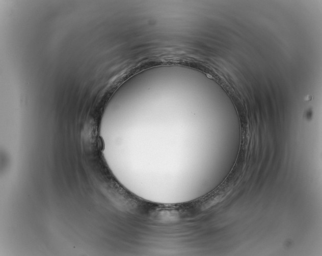 X0000090700228200707200936