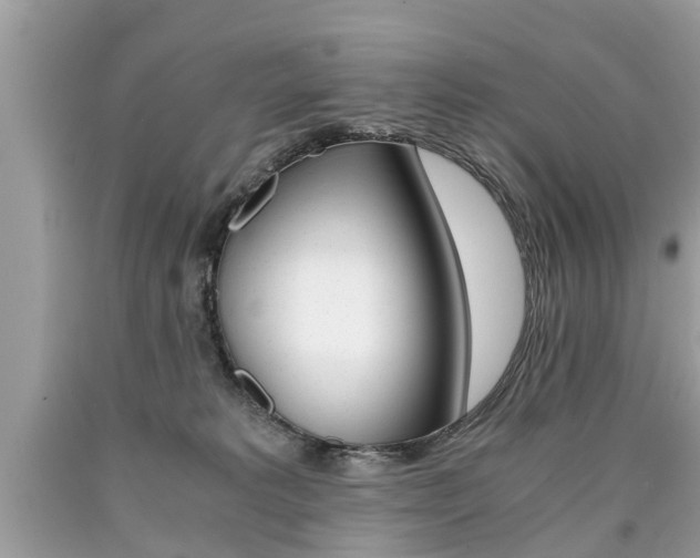 X0000090700229200707200936