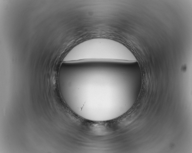 X0000090700232200707200936