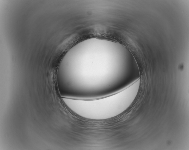 X0000090700233200707200936