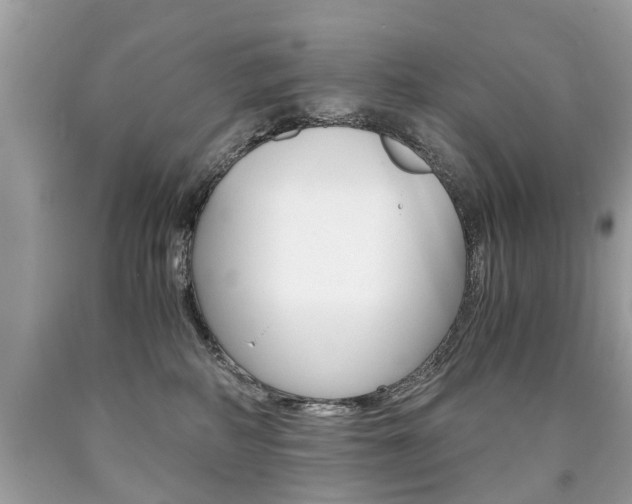X0000090700234200707200936