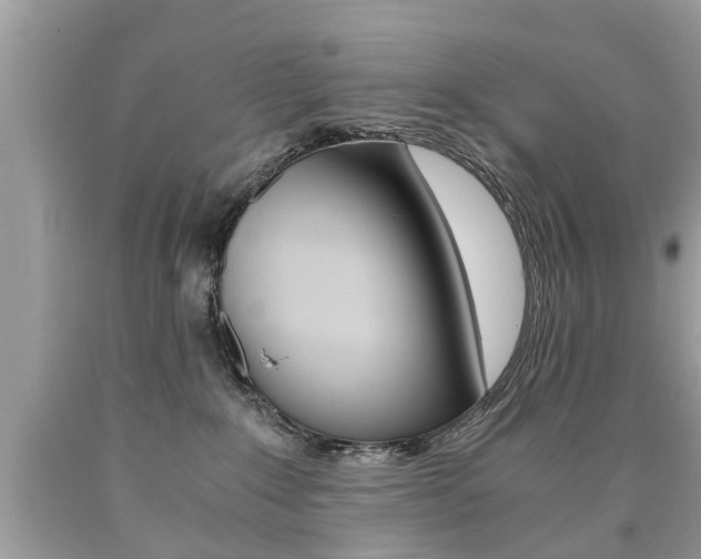 X0000090700235200707200936