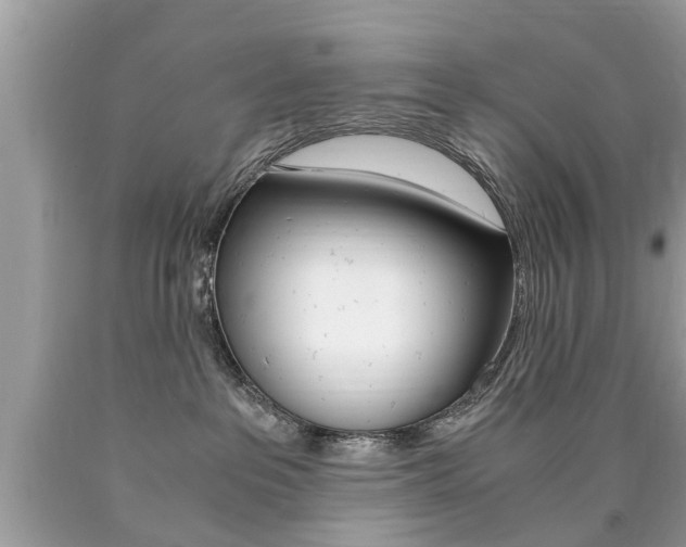 X0000090700237200707200936
