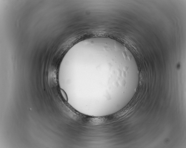 X0000090700238200707200936