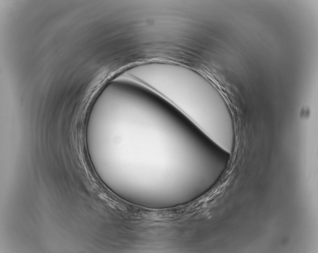 X0000090700241200707200935