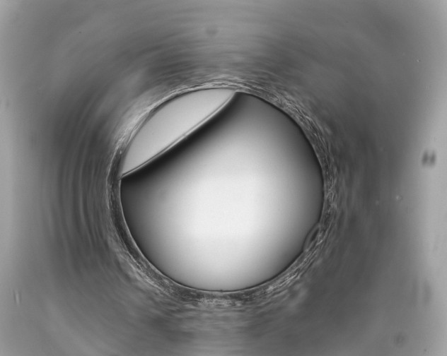 X0000090700242200707200935