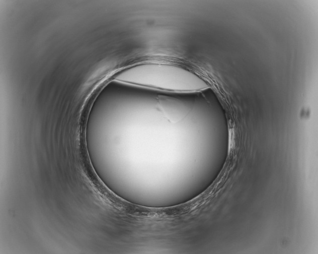 X0000090700243200707200935