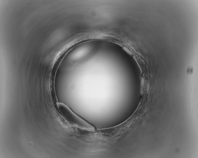 X0000090700244200707200935
