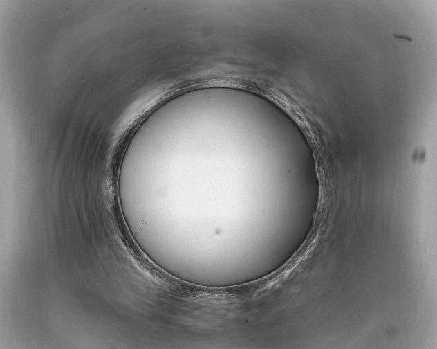 X0000090700245200707200935