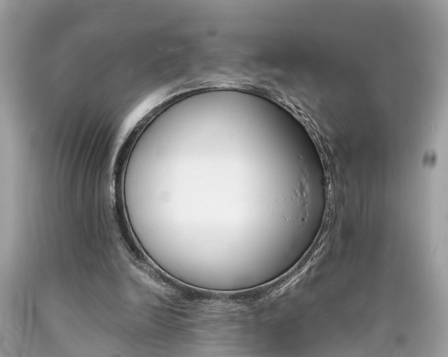 X0000090700246200707200935
