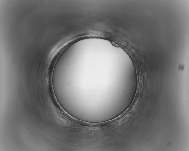 X0000090700247200707200935