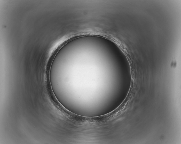 X0000090700248200707200935