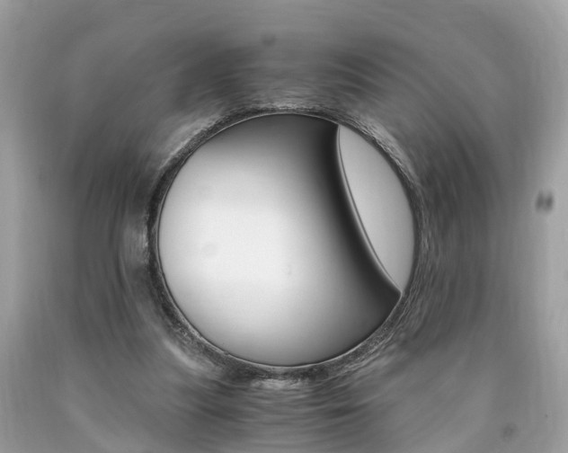 X0000090700251200707200935