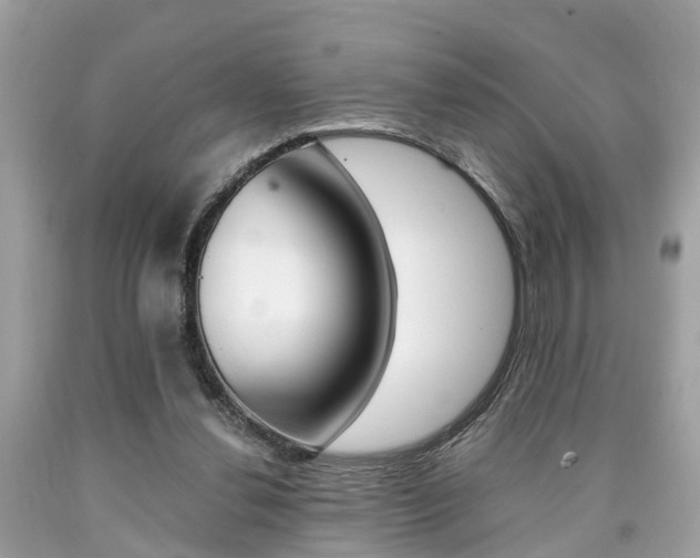 X0000090700252200707200935