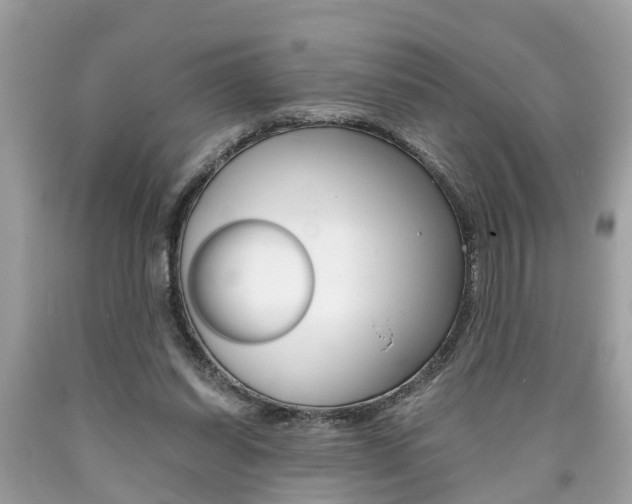 X0000090700254200707200935