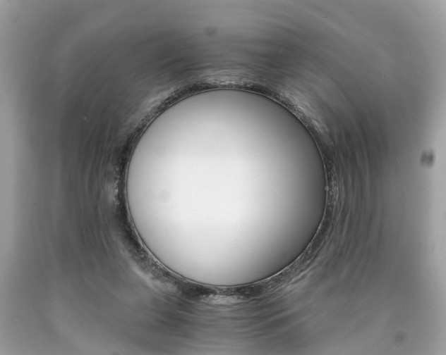 X0000090700255200707200935