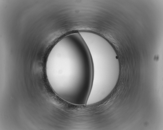 X0000090700256200707200935