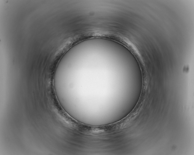 X0000090700257200707200935