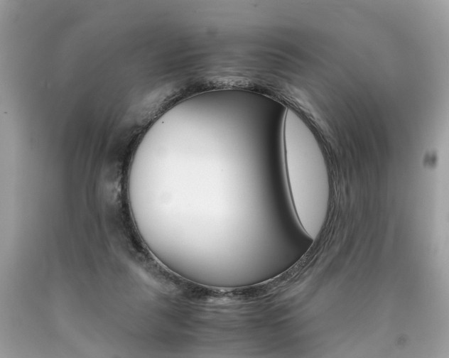 X0000090700259200707200935