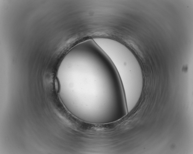X0000090700260200707200935