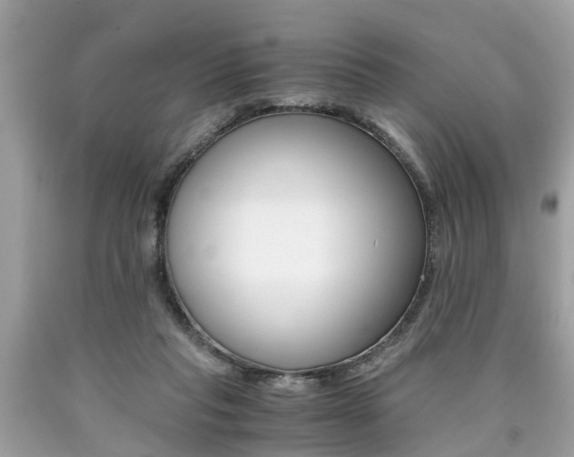 X0000090700261200707200935
