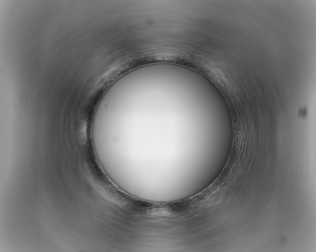 X0000090700262200707200935
