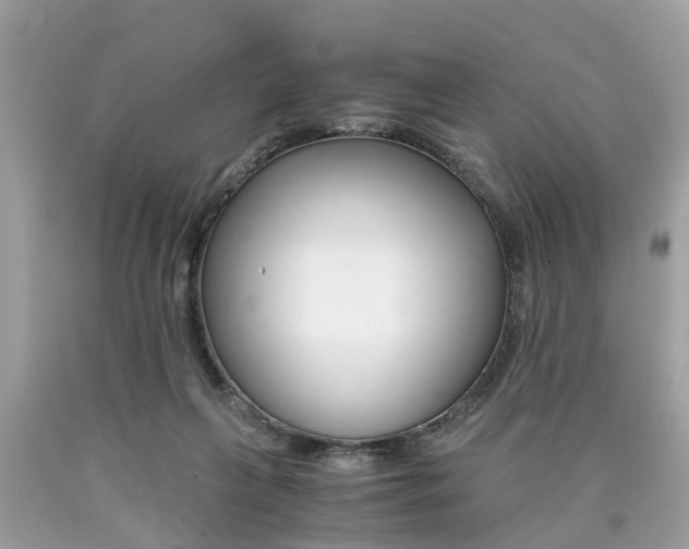 X0000090700263200707200935