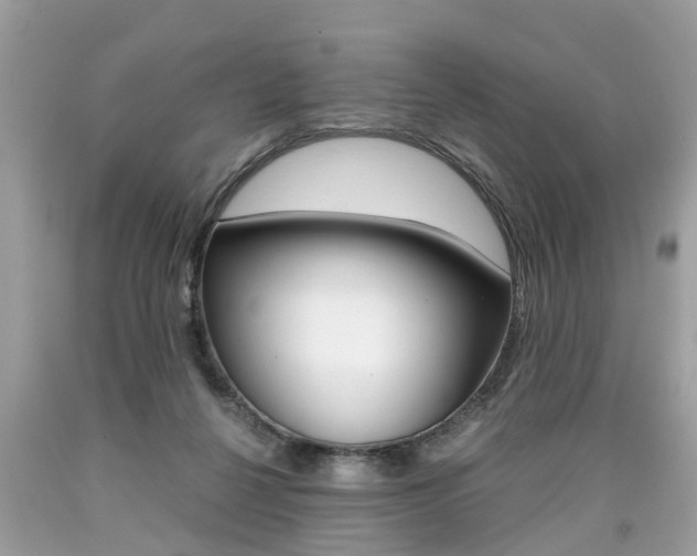 X0000090700264200707200935