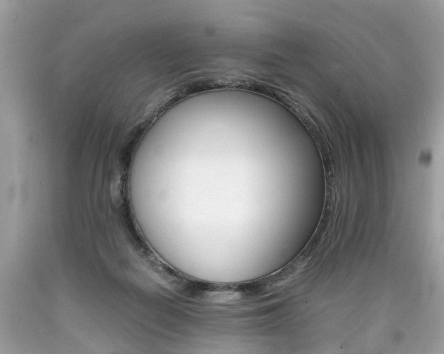 X0000090700266200707200935