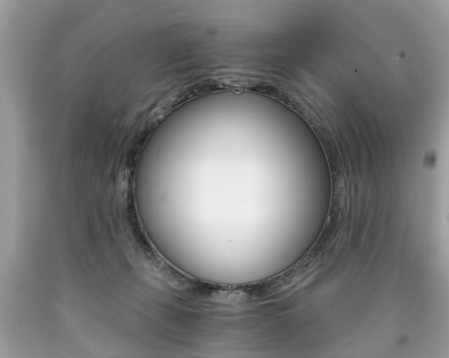 X0000090700271200707200935