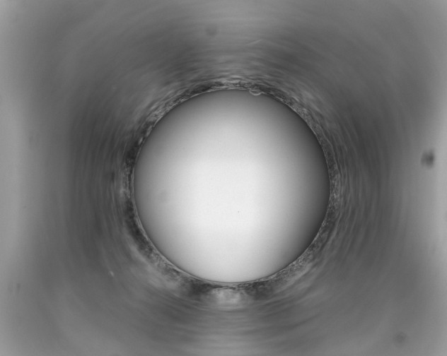 X0000090700272200707200935