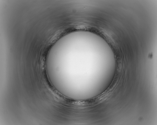 X0000090700273200707200935