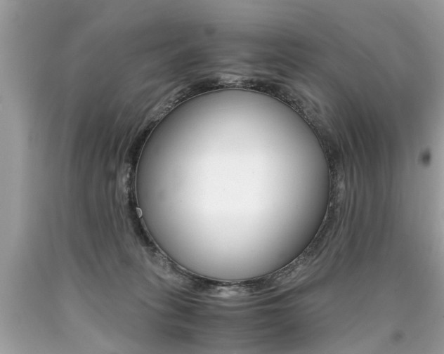 X0000090700275200707200935