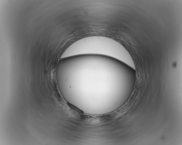 X0000090700276200707200935