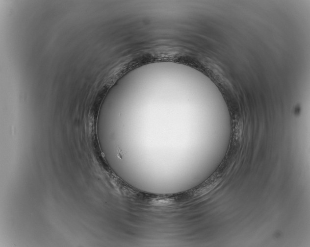 X0000090700283200707200935