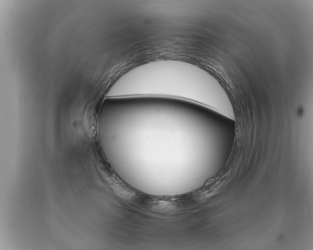 X0000090700285200707200935