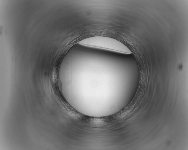 X0000090700287200707200935