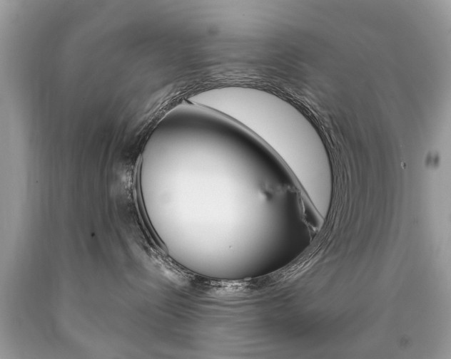 X0000090700288200707200935