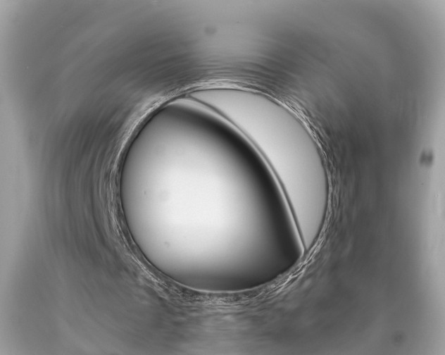 X0000090700289200707200935