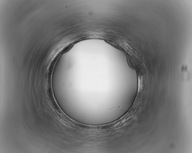 X0000090700291200707200935